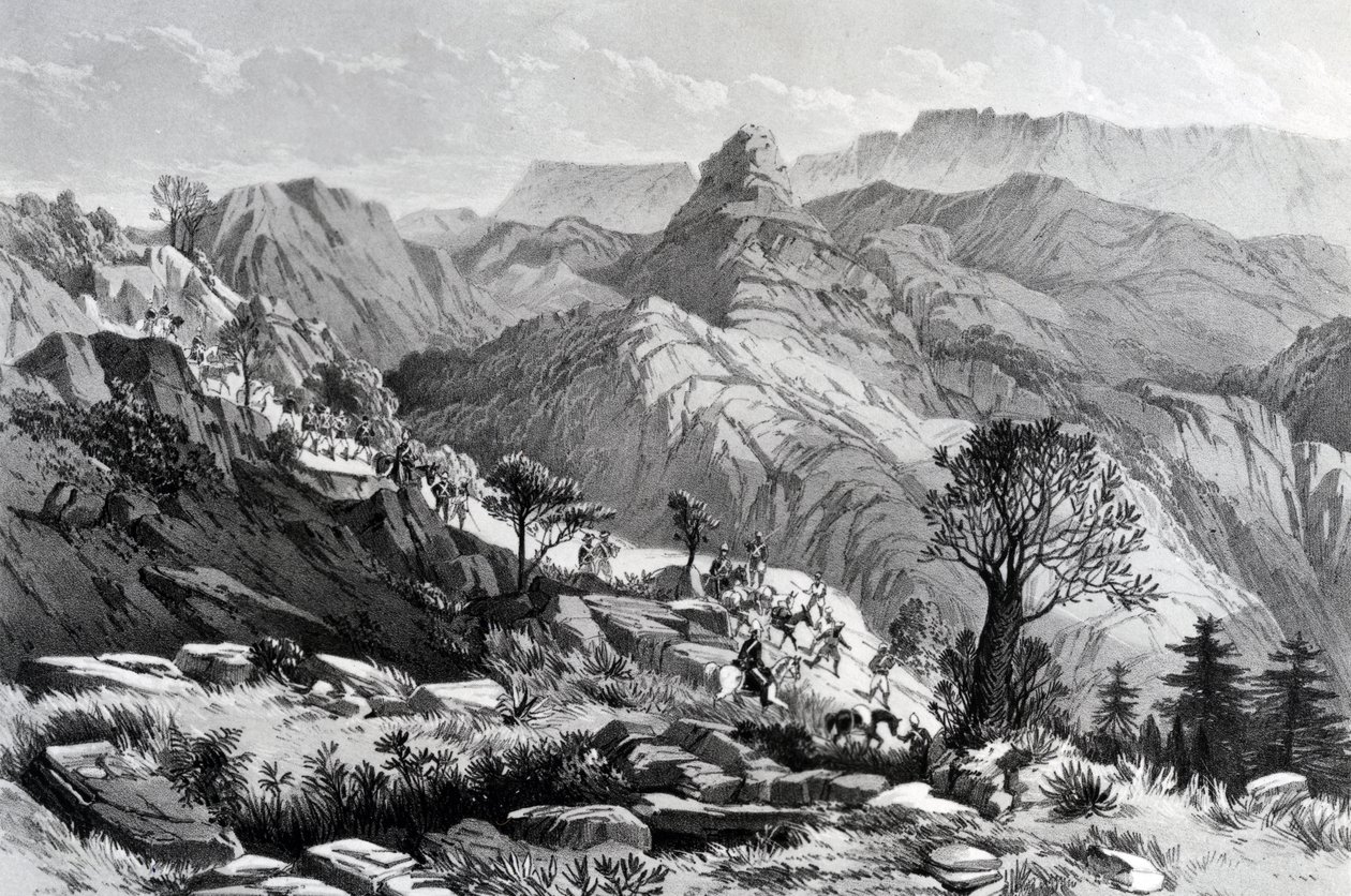 在Dongolo附近的游行，由James Ferguson雕刻，1868年 作者 主要AGF霍格