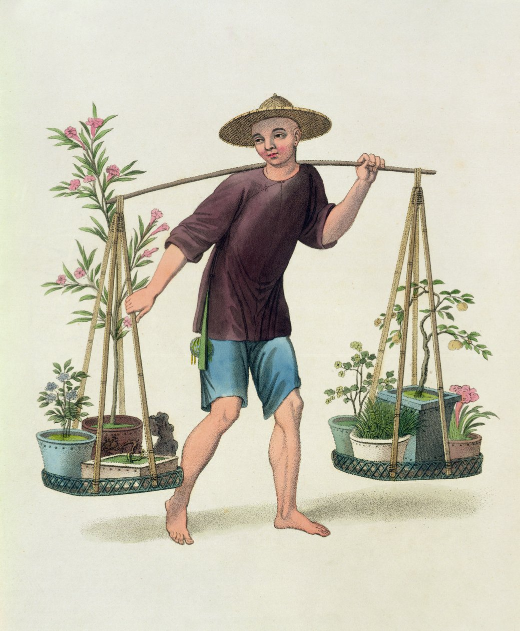 一个有果树和鲜花的搬运工，16号来自“中国服饰”，由J. Dadley雕刻，1800年 作者 乔治·亨利·梅森少校