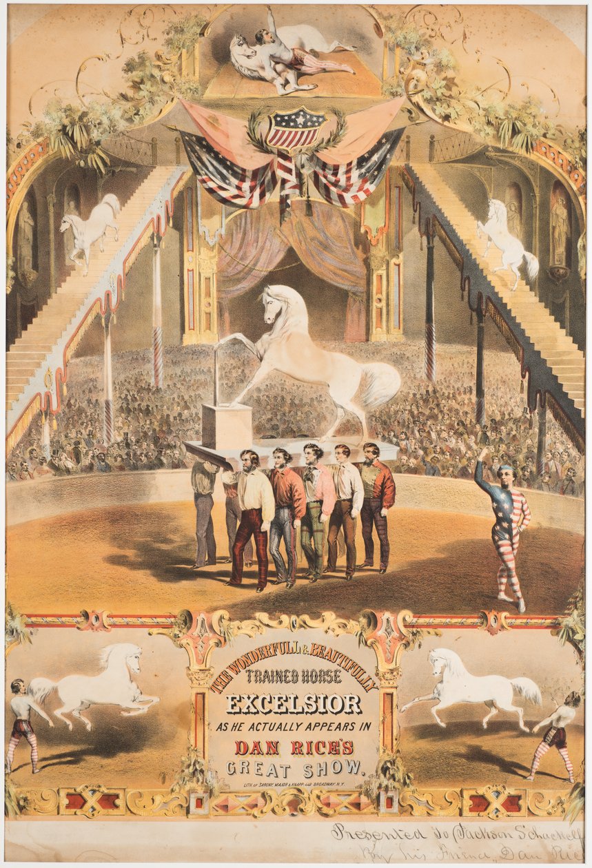 Wonderfull和精美训练的马Excelsior，c.1840（chromolitho） 作者 少校和纳普·萨罗尼
