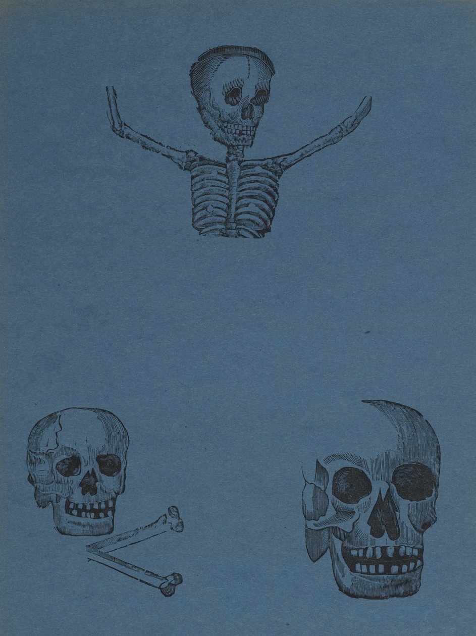 头骨和骷髅的研究，来自330 Grabados Originales，由Antonio Vanegas Arroyo（1850-1917），墨西哥城，墨西哥（浮雕雕刻）印刷 作者 曼努埃尔·马尼拉