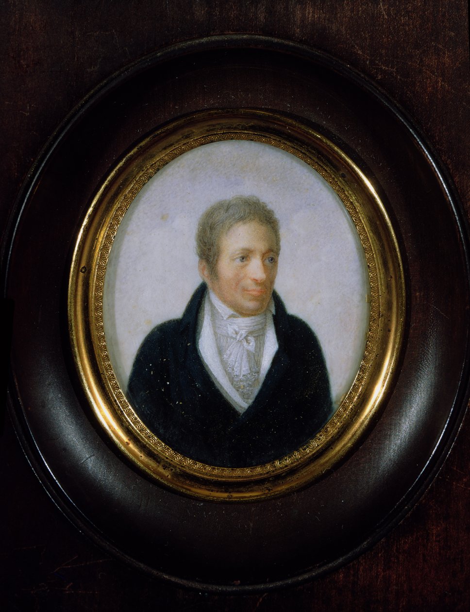 Pierre-Jean-Georges Cabanis（1757-1808） 作者 马克·路易斯·阿洛德