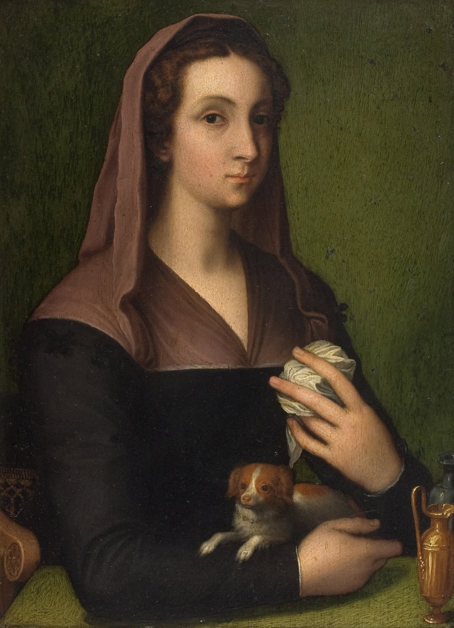 一位女士的肖像（面板油画） 作者 Marcello (追随者) Venusti