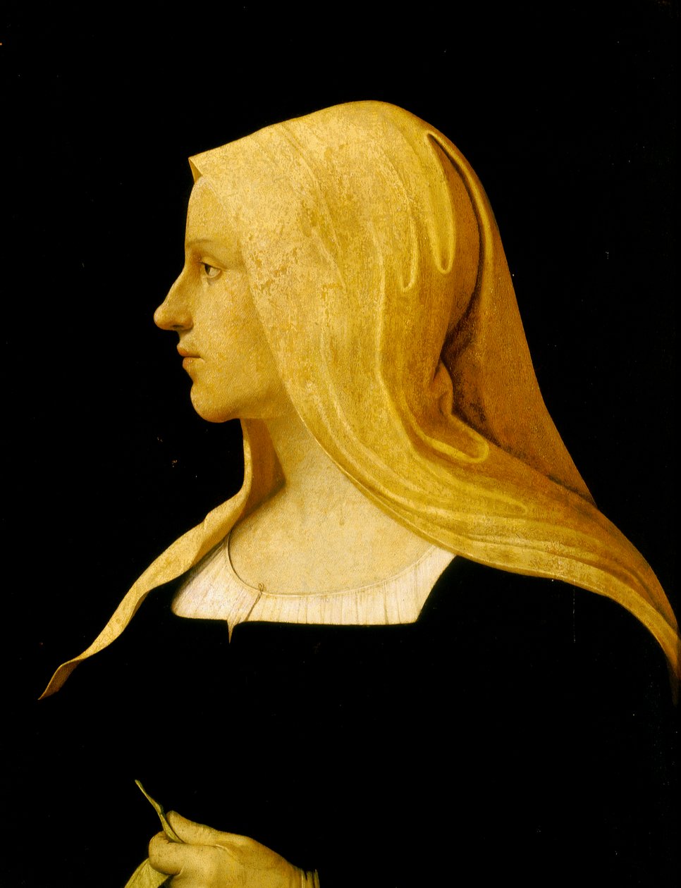 Caterina Sforza的肖像 作者 马可·帕尔梅扎诺（Marco Palmezzano）