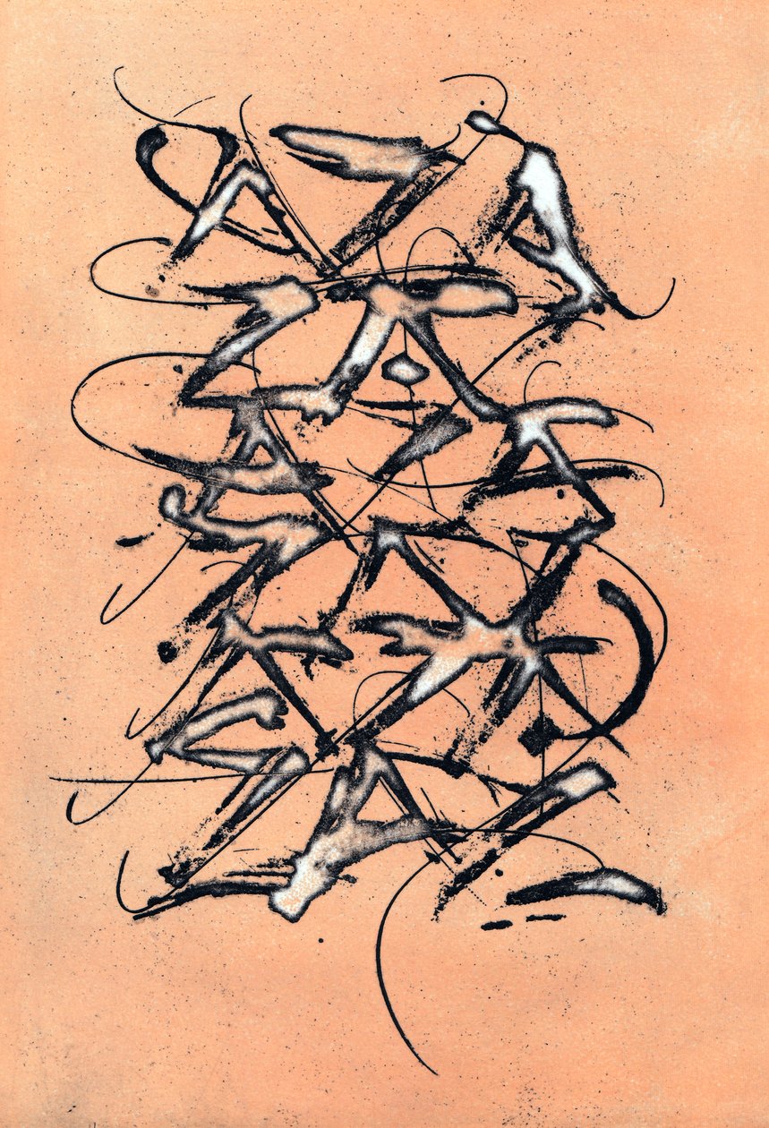 AZA，2002 年（糖水版画） 作者 马尔科·坎佩德利