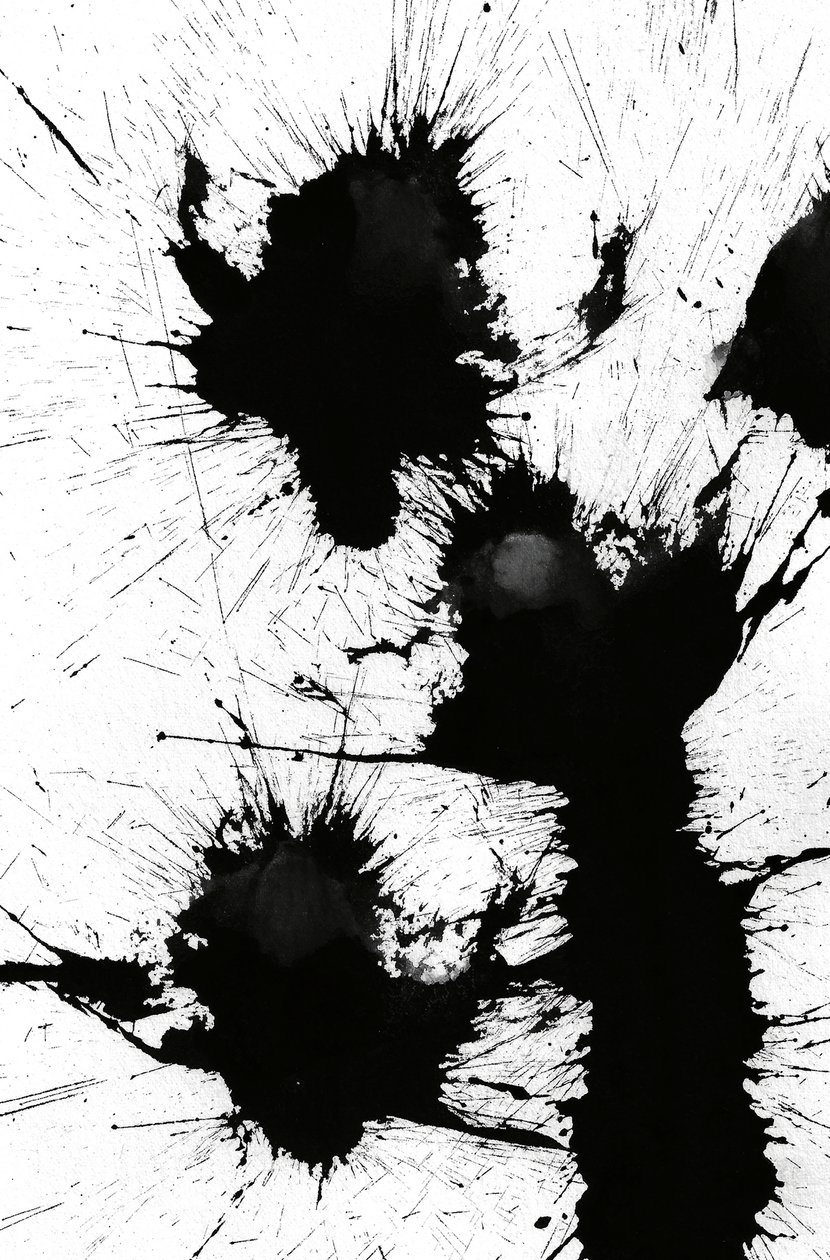 污点，2014（纸上水墨） 作者 马尔科·坎佩德利
