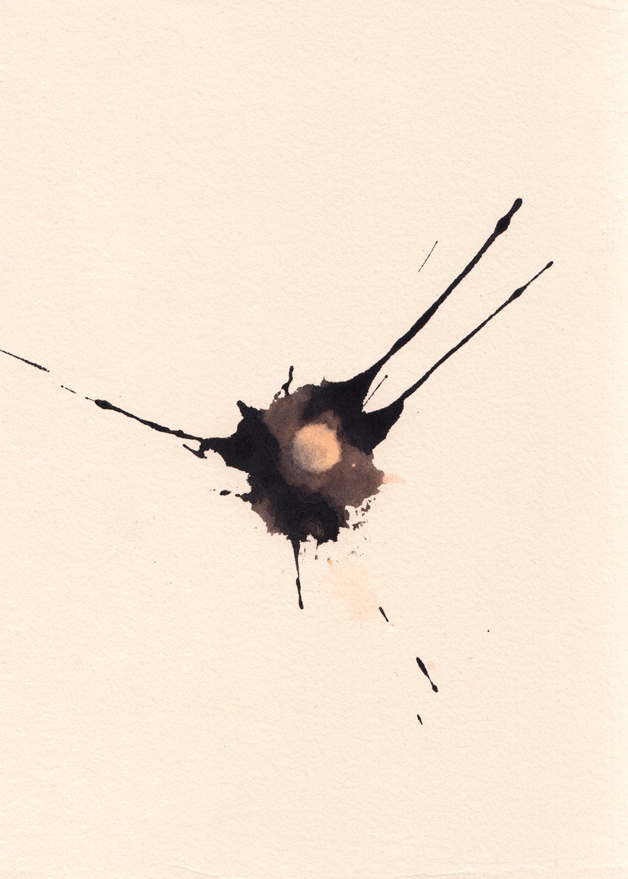 Blot 2，2018（纸上墨水和漂白剂） 作者 马尔科·坎佩德利