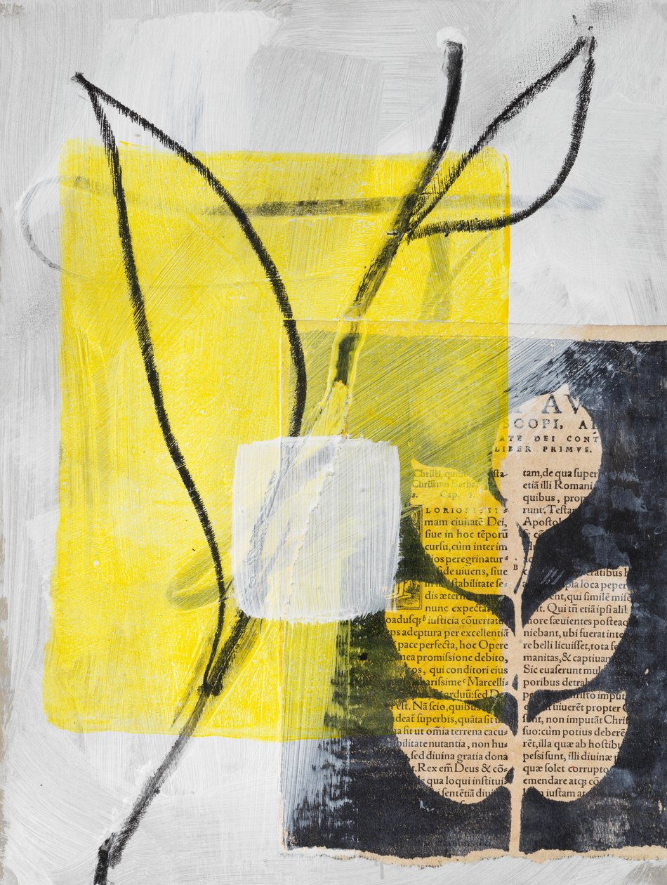 马蹄莲和树叶拼贴画，2024 年（混合媒介） 作者 马尔科·坎佩德利