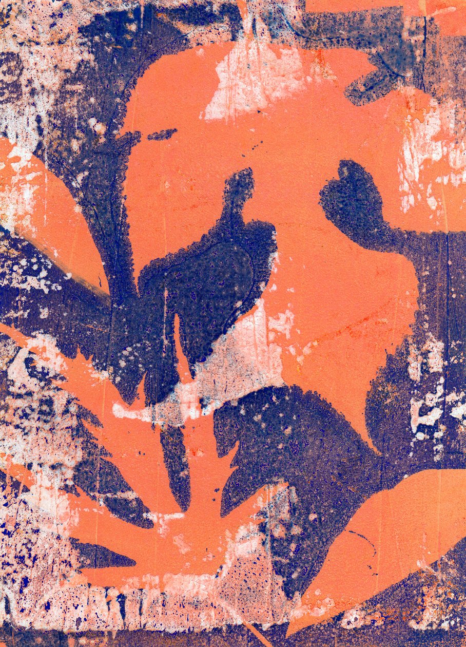 树叶，2023 年（单版画） 作者 马尔科·坎佩德利