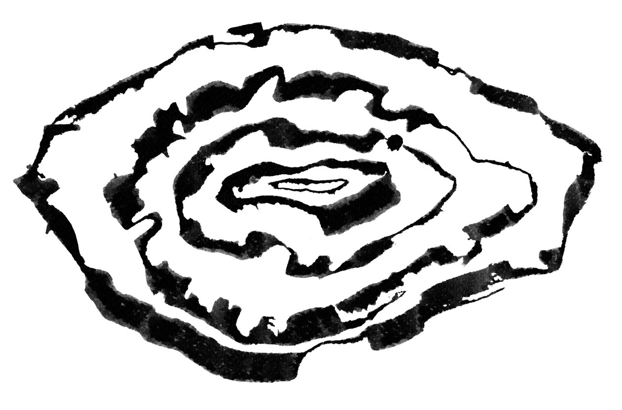 等值线，2023 年（纸本水墨画） 作者 马尔科·坎佩德利