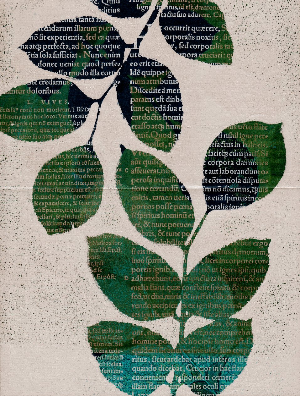 叶，2024 年（单版画） 作者 马尔科·坎佩德利