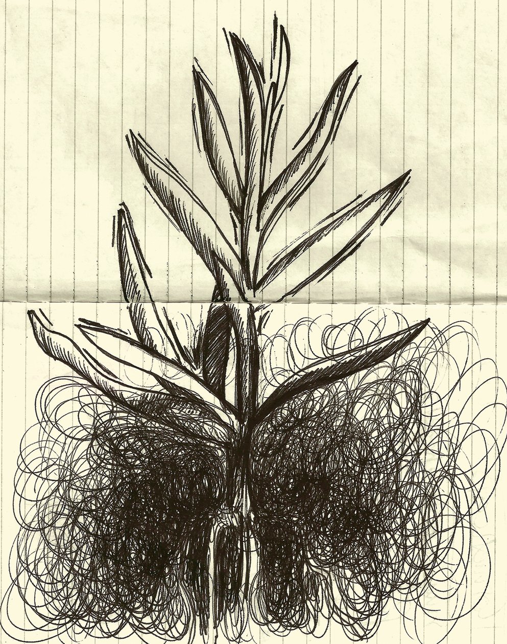 植物，2014 年（纸上水墨） 作者 马尔科·坎佩德利