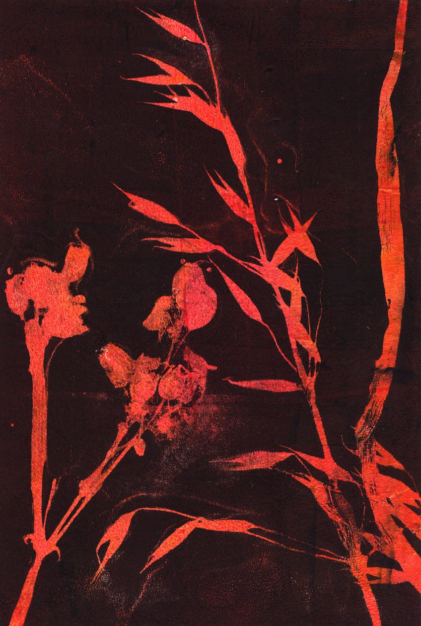 红叶》，2024 年（单版画） 作者 马尔科·坎佩德利