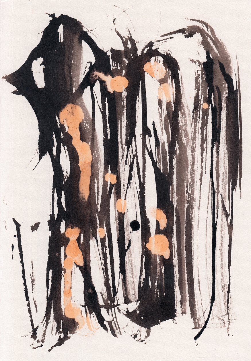 Wabi Sabi，2018（纸上水墨和漂白剂） 作者 马尔科·坎佩德利