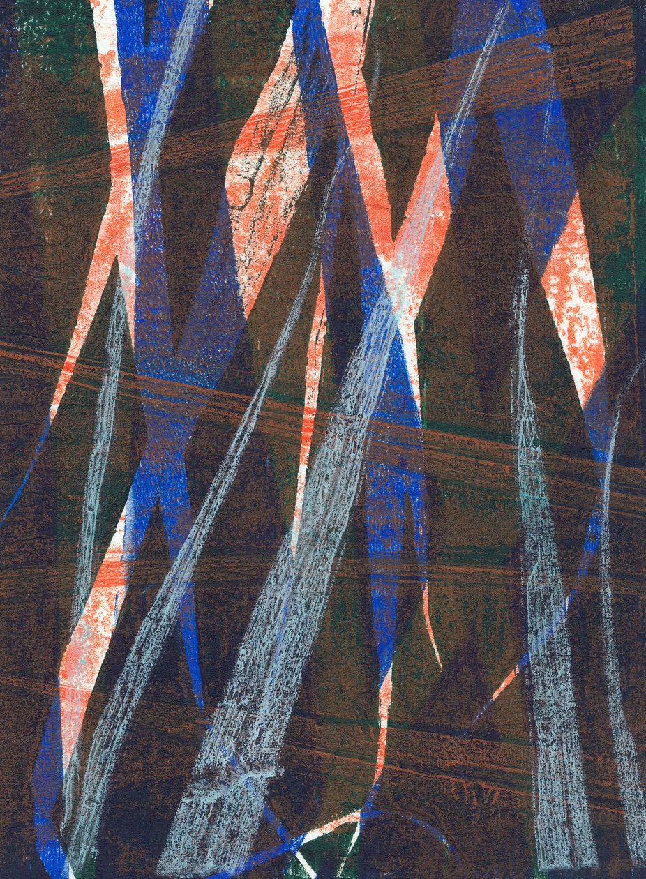 野燕麦，2024 年（单版画） 作者 马尔科·坎佩德利