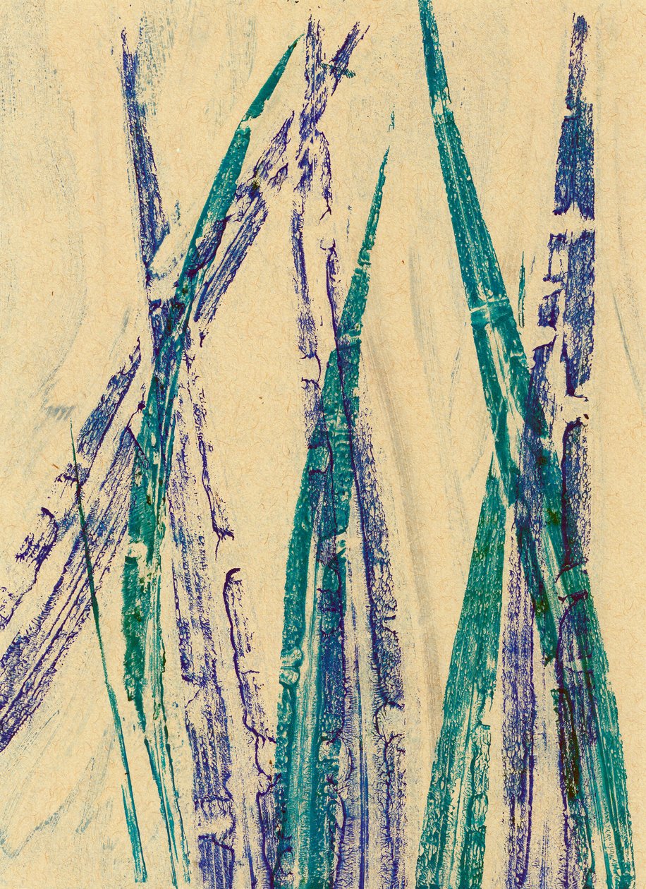 野燕麦，2024 年（单版画） 作者 马尔科·坎佩德利