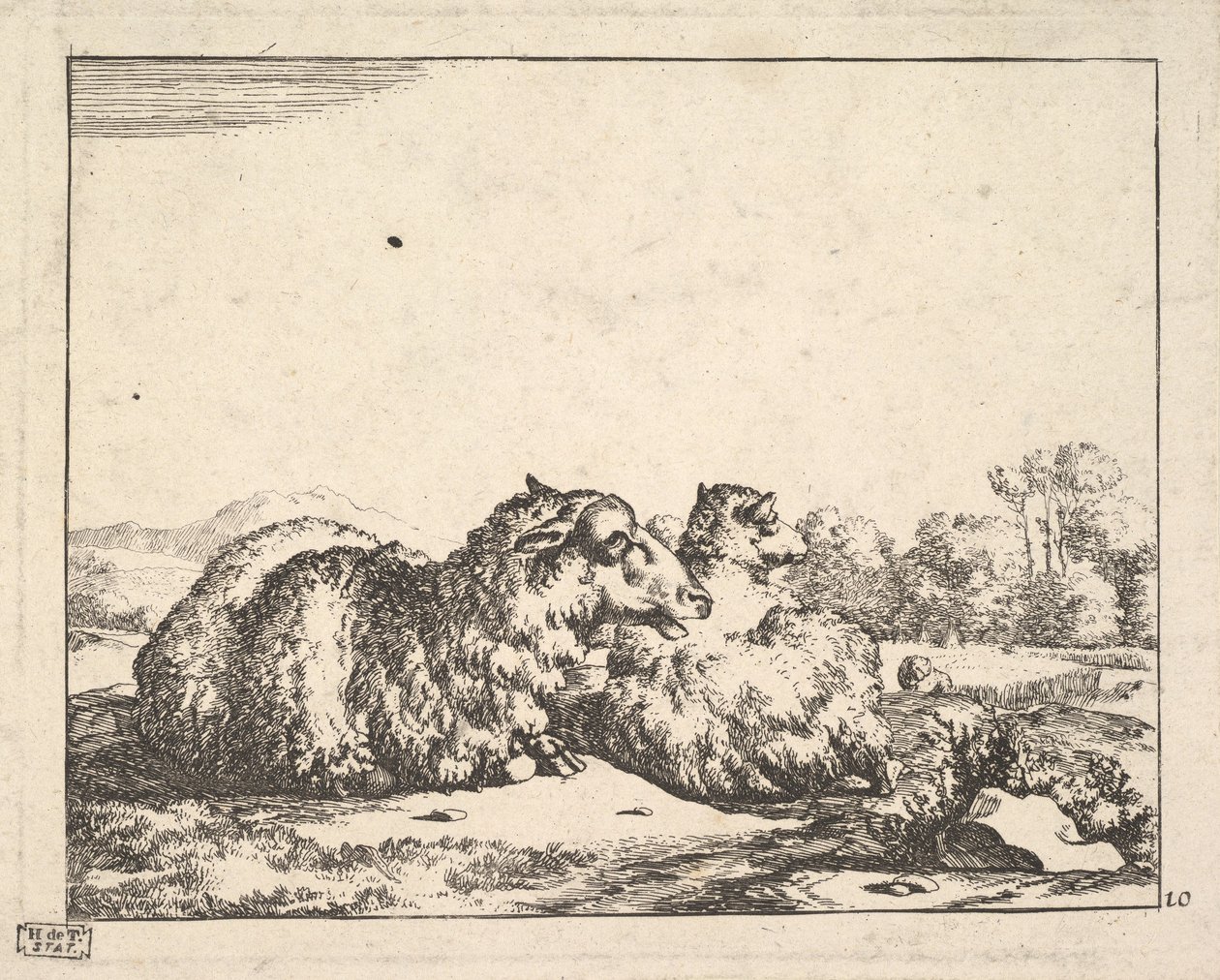 绵羊，来自一套16张的版画，1664年。 作者 马库斯·德拜