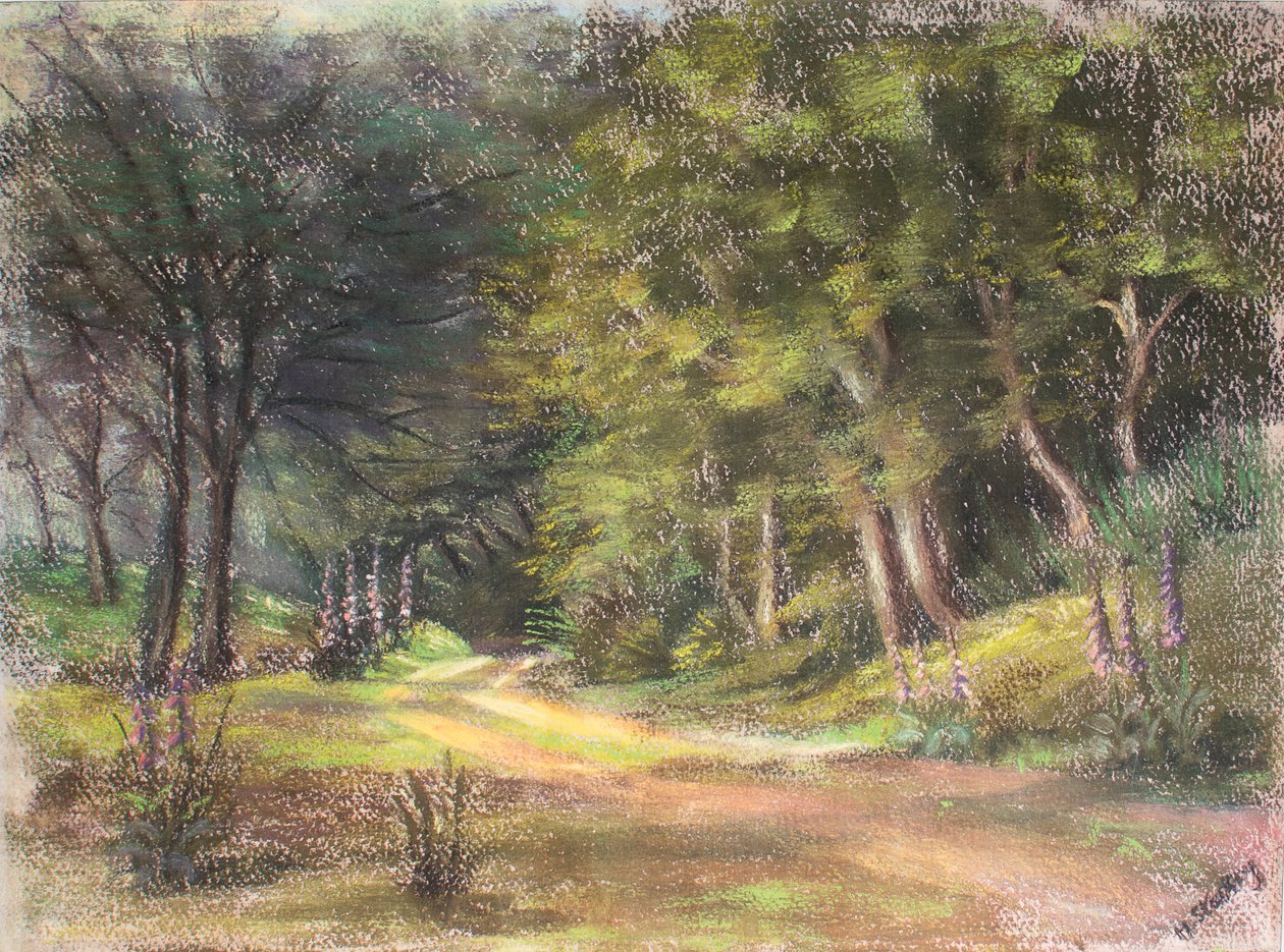 走进伍兹，萨默塞特，1995年（粉彩） 作者 玛戈斯塔基