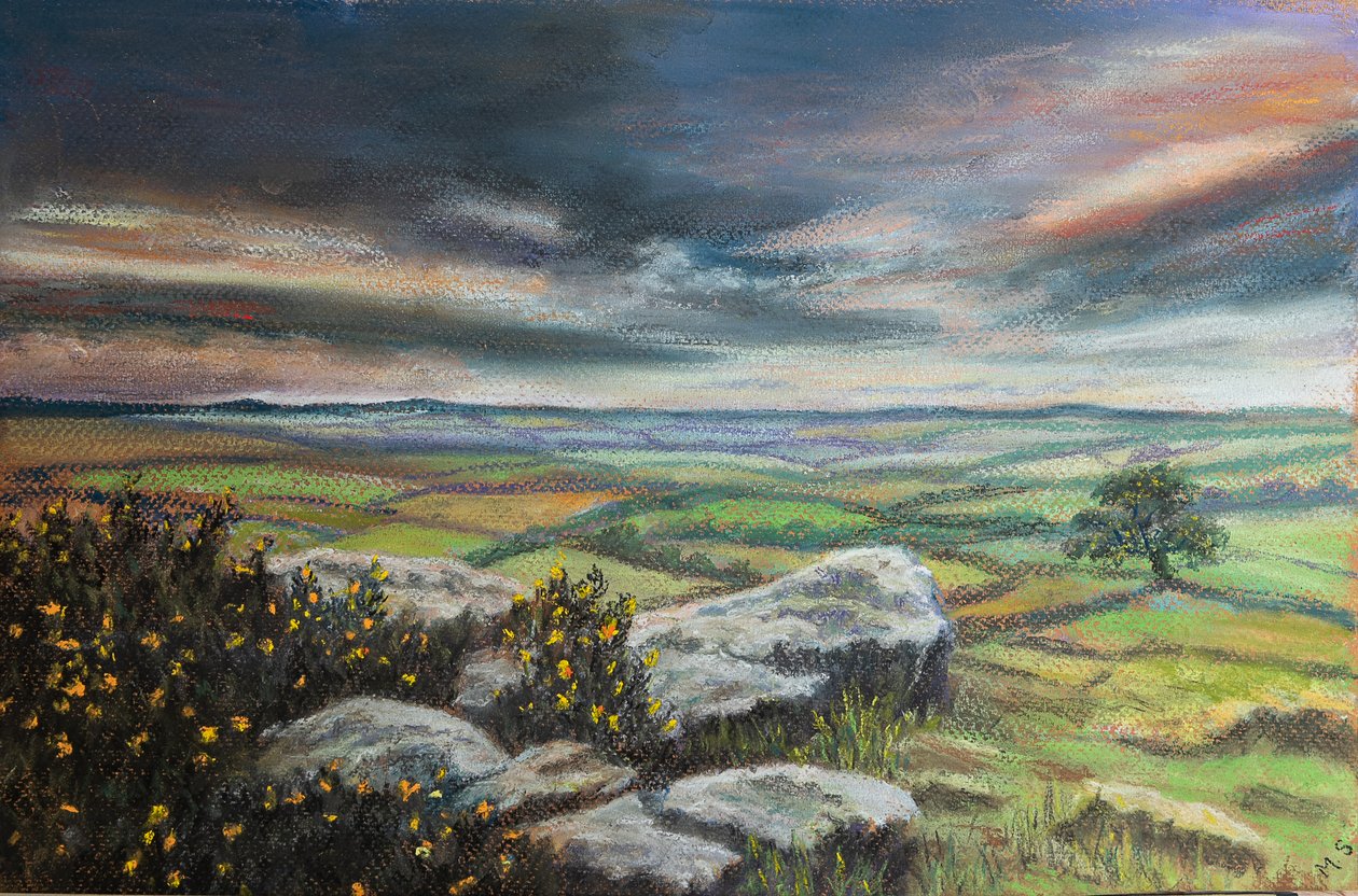 达特穆尔·德文大学（Dartmoor.S.Devon），2020年（柔和） 作者 玛戈斯塔基