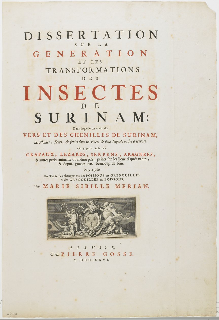 来自Metamorphosis Insectorum Surinamensium的标题页，1726年（雕刻和凸版印刷） 作者 玛丽亚·西比拉·梅里安
