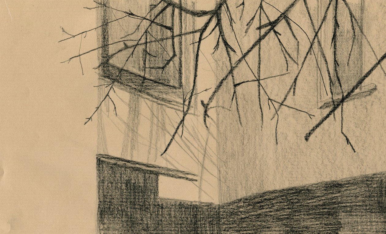 冬季景观，2020 年 作者 玛丽亚·巴西亚