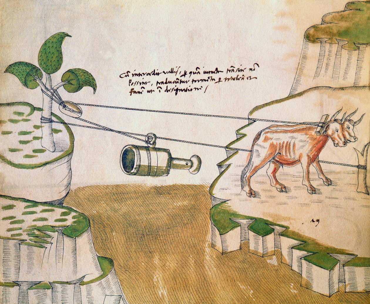 Oxen绘制滑轮，从De Machinis插图（笔和墨水和纸上的wc） 作者 Mariano di Jacopo 1382 c.1453之后Mariano di Jacopo 1382 c.1453之后