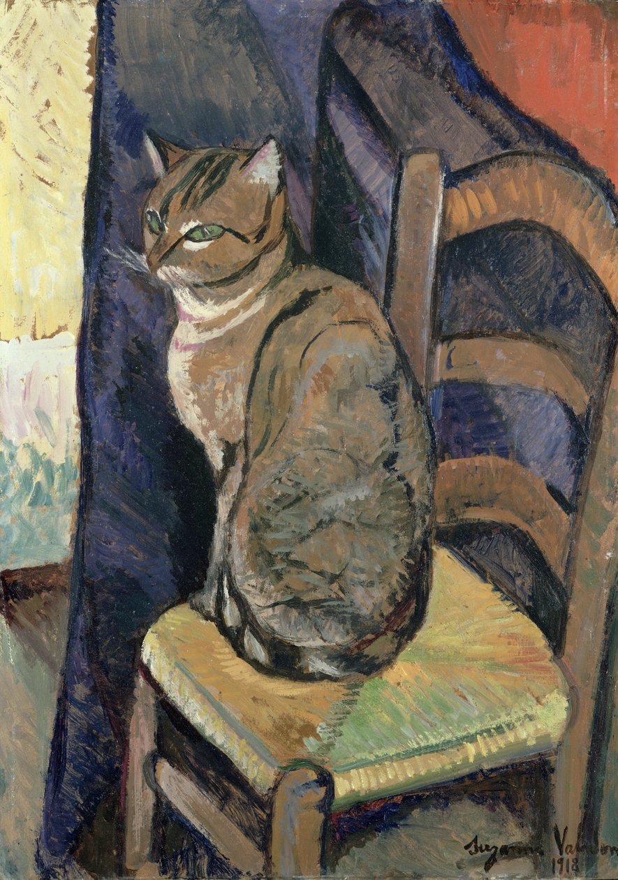 研究一只猫，1918年 作者 玛丽·克莱门汀（苏珊娜）瓦拉登