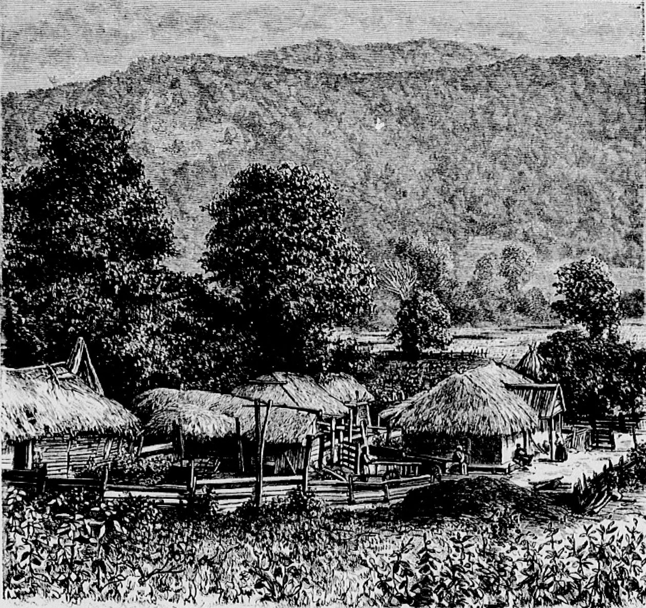 Mingrèlien村 作者 玛丽·德伦萨特（Marie Dronsart）