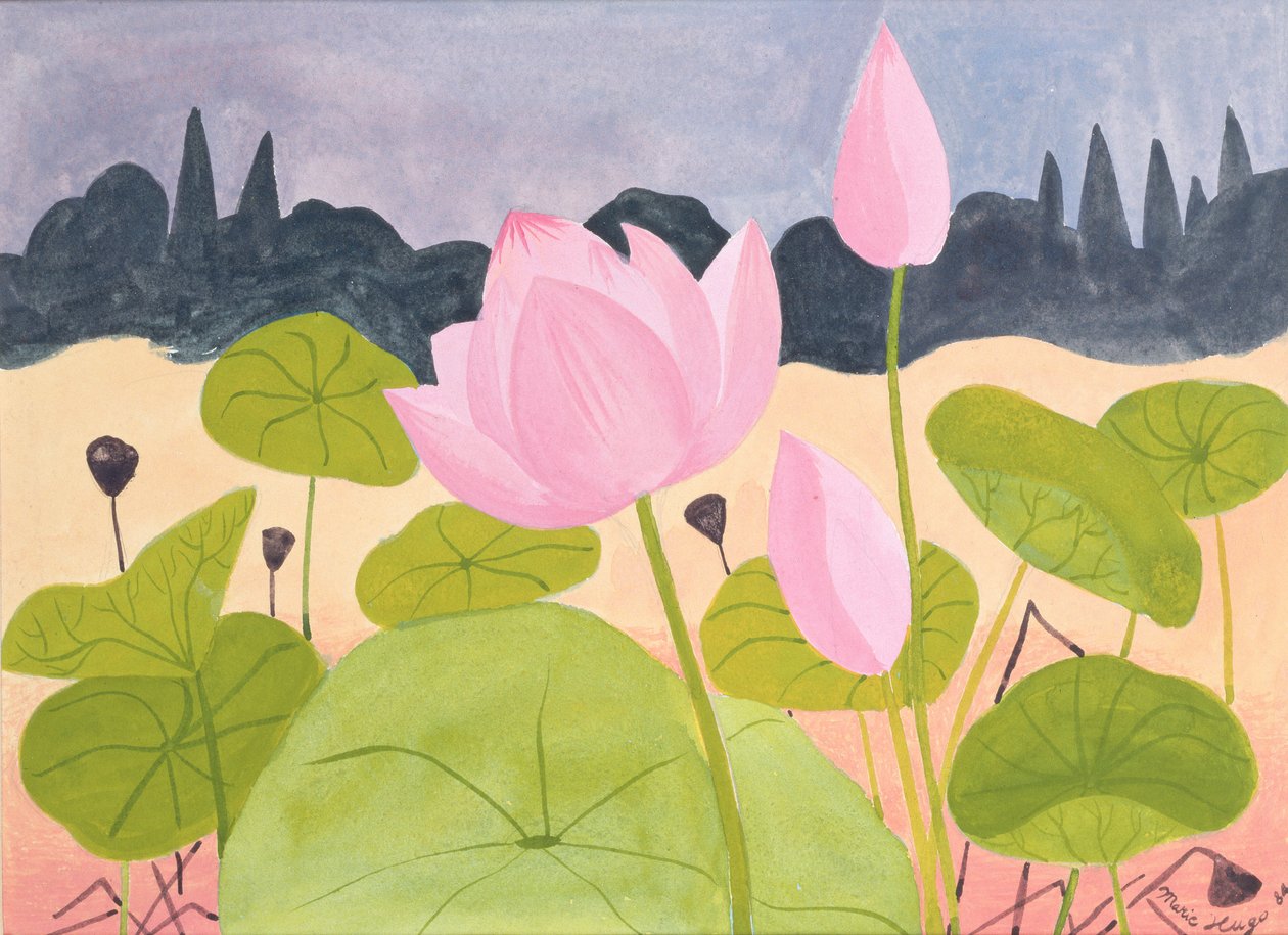 莲花在加里格，1984年 作者 玛丽·雨果