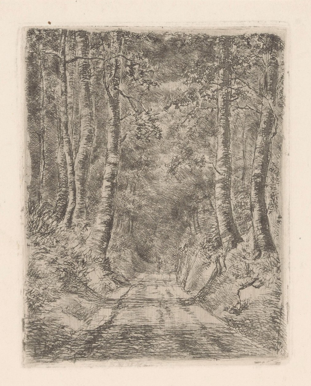 空心路旁的森林 作者 Marie Adolphine van der Goes van Dirxland