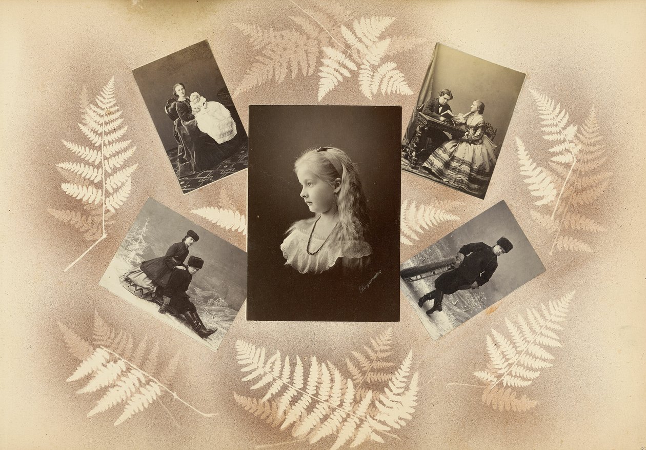 B 夫人专辑 作者 玛丽·布兰奇（Marie Blanche）汉娜（Hennenelle Fournier）