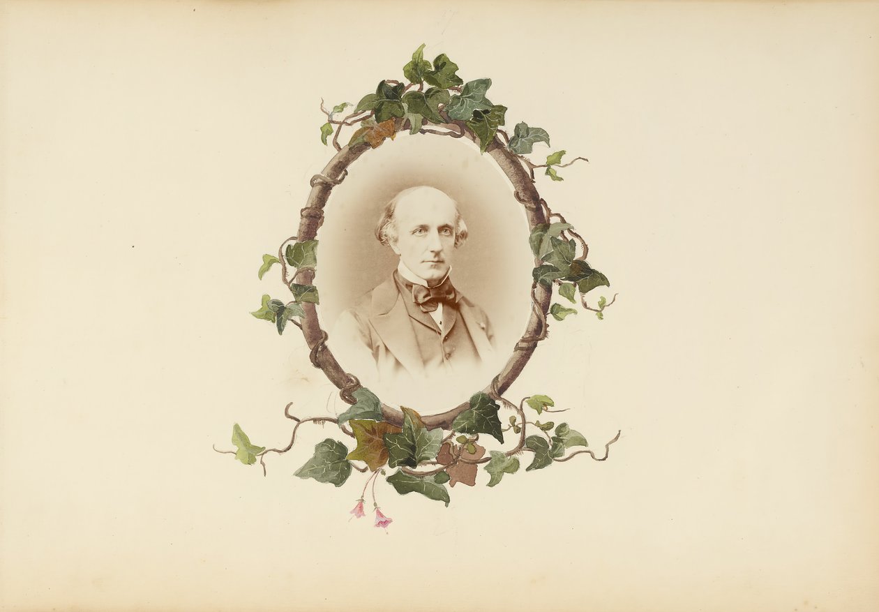 B夫人的相册，1870年代。 作者 玛丽·布兰奇（Marie Blanche）汉娜（Hennenelle Fournier）