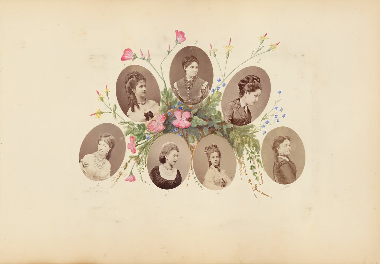 B夫人的相册，1870年代。 作者 玛丽·布兰奇（Marie Blanche）汉娜（Hennenelle Fournier）