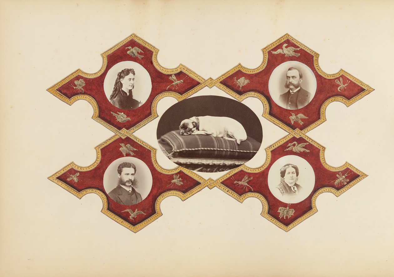 B夫人的相册，1870年代。 作者 玛丽·布兰奇（Marie Blanche）汉娜（Hennenelle Fournier）