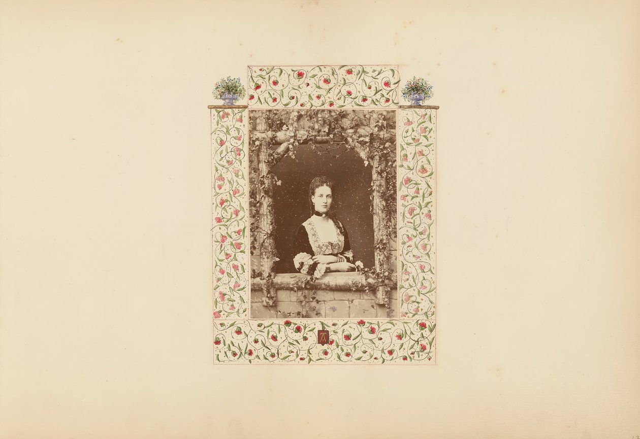 B夫人的相册，1870年代。 作者 玛丽·布兰奇（Marie Blanche）汉娜（Hennenelle Fournier）