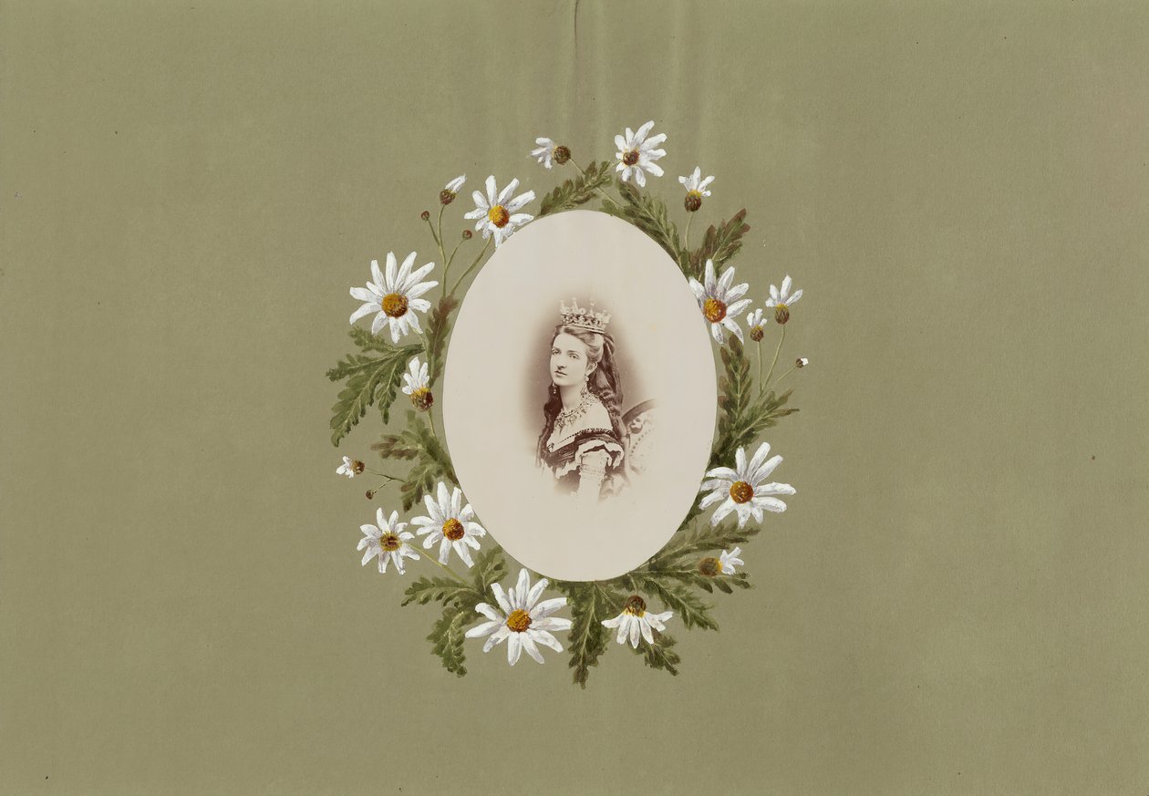 B夫人的相册，1870年代。 作者 玛丽·布兰奇（Marie Blanche）汉娜（Hennenelle Fournier）