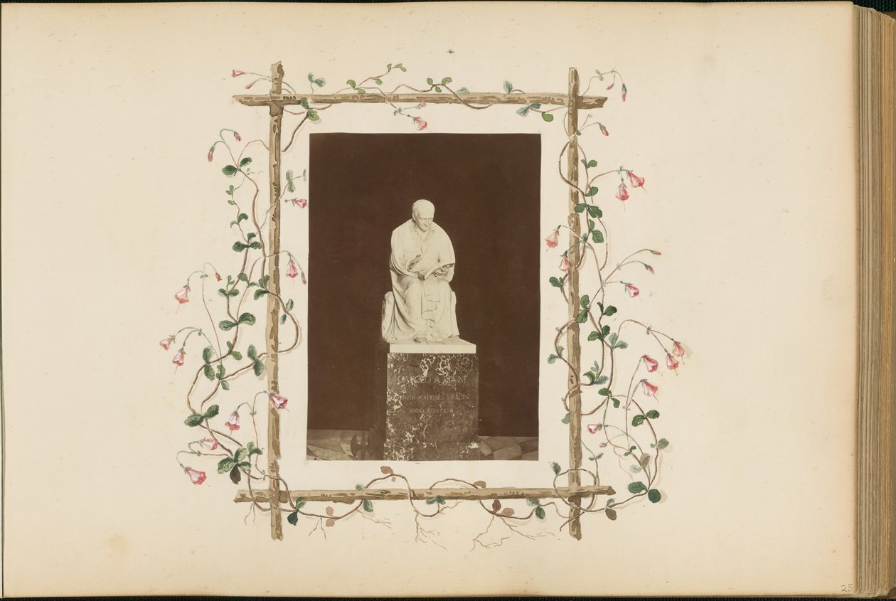 B夫人的相册，1870年代。 作者 玛丽·布兰奇（Marie Blanche）汉娜（Hennenelle Fournier）