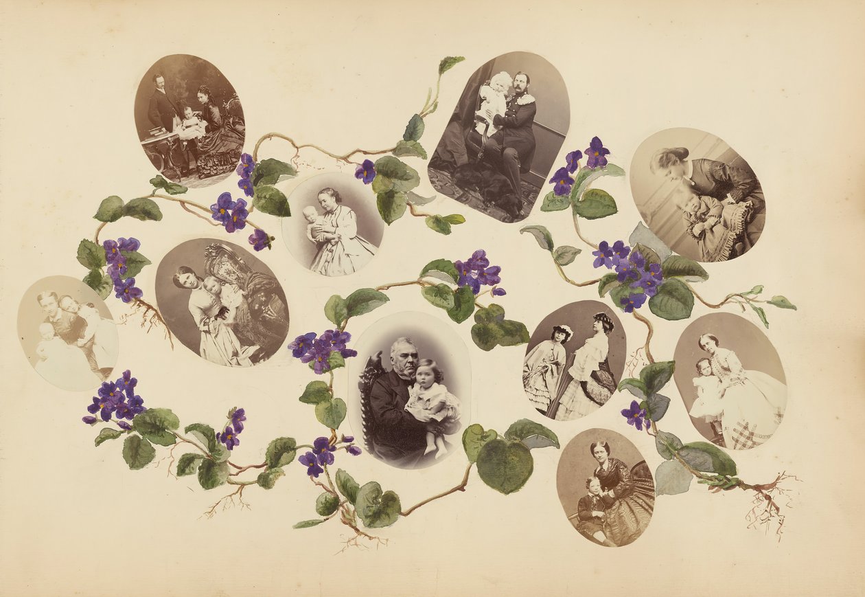 B夫人的相册，1870年代。 作者 玛丽·布兰奇（Marie Blanche）汉娜（Hennenelle Fournier）