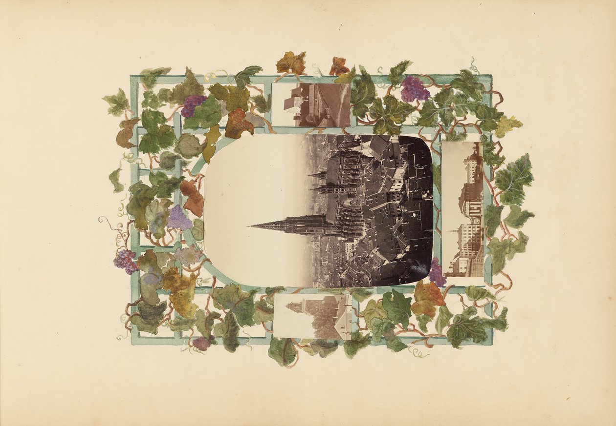 B夫人的相册，1870年代。 作者 玛丽·布兰奇（Marie Blanche）汉娜（Hennenelle Fournier）