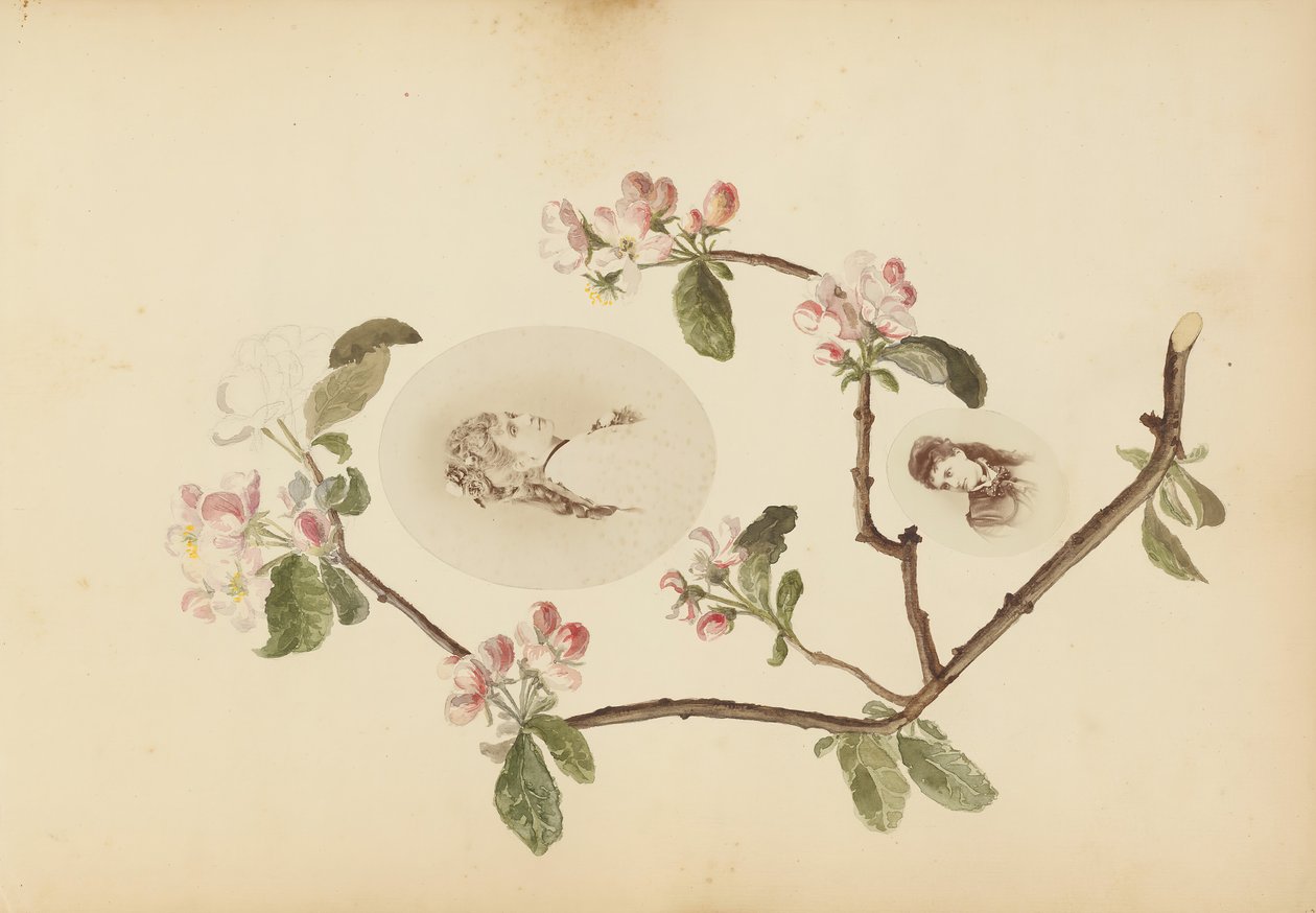 B夫人的相册，1870年代。 作者 玛丽·布兰奇（Marie Blanche）汉娜（Hennenelle Fournier）