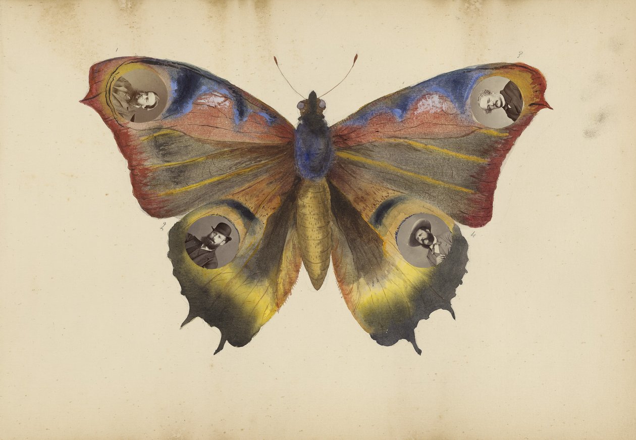 夫人B专辑，1870年代 作者 玛丽·布兰奇（Marie Blanche）汉娜（Hennenelle Fournier）