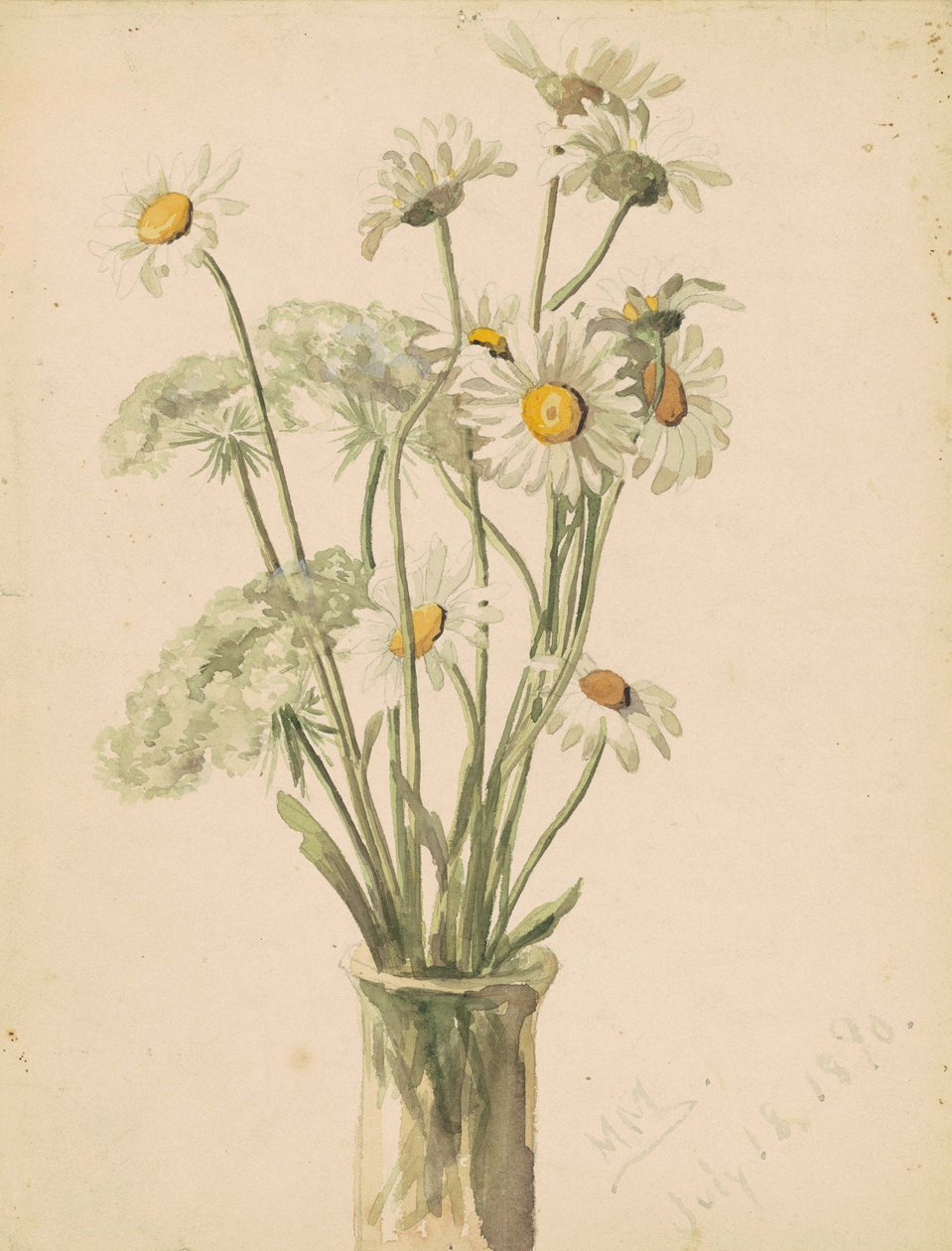 花瓶中的雏菊和女王安妮花边，1890年（编织纸上的水彩和石墨） 作者 Marietta Minnegerode安德鲁斯
