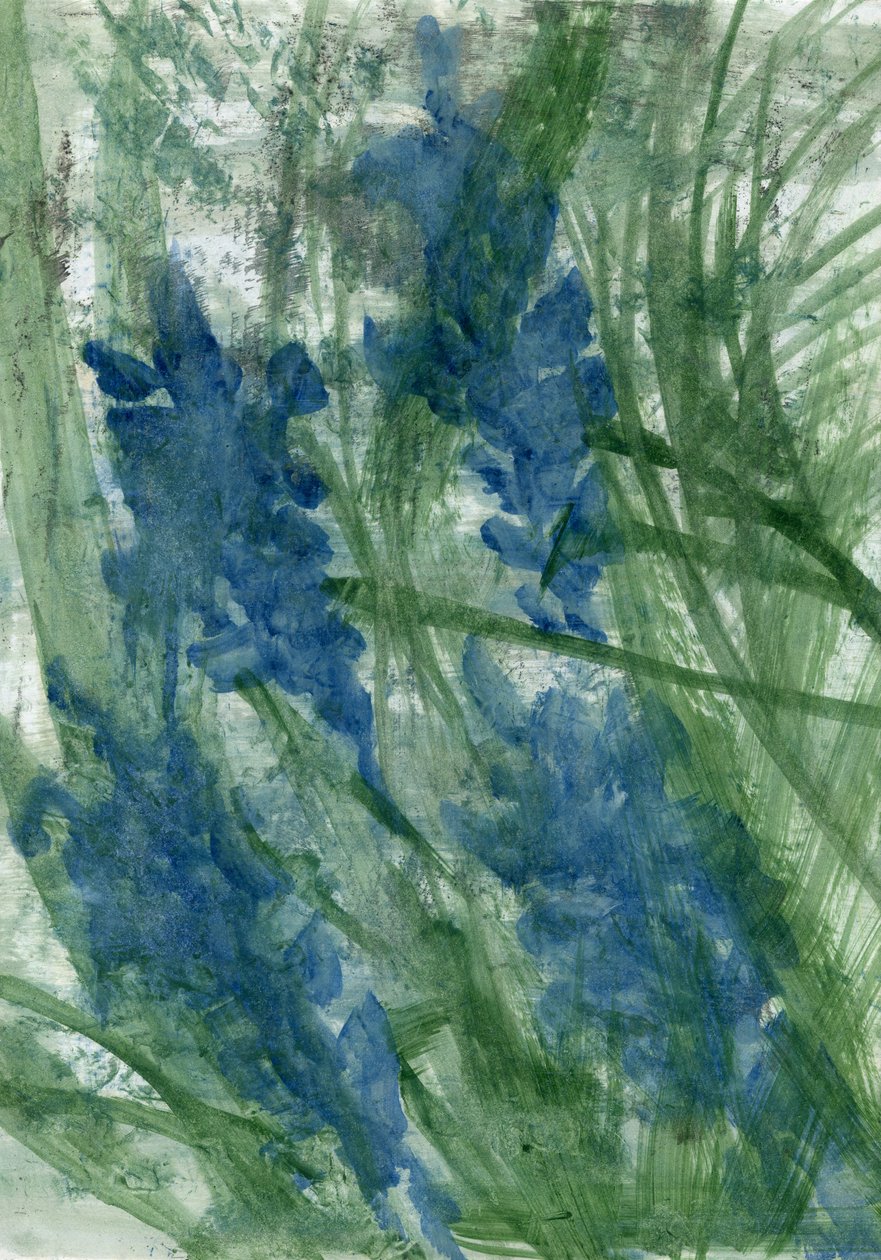 蓝花，2022 年（纸面油画） 作者 玛丽娜·法尔科