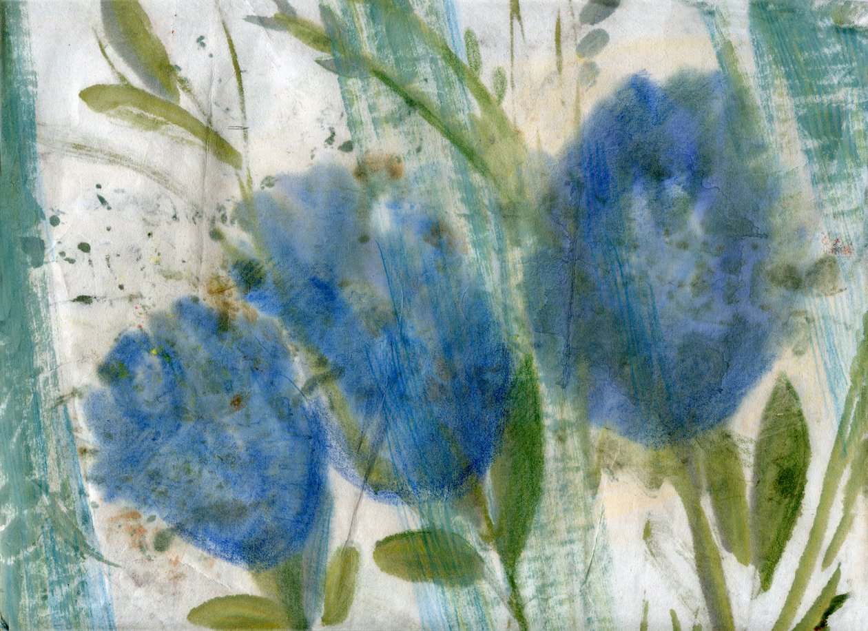蓝花 2 作者 玛丽娜·法尔科