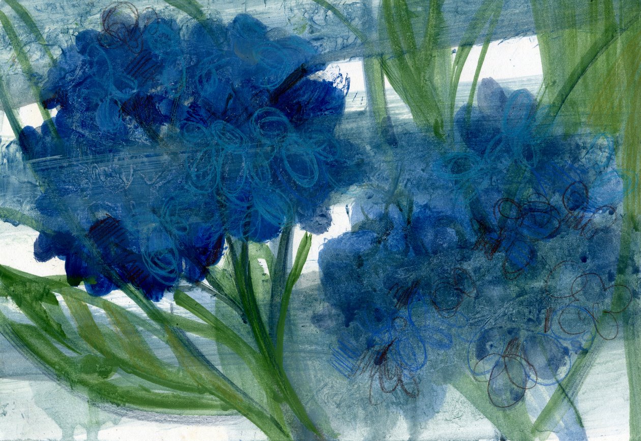 蓝色绣球花，2020 年（A4 纸油画） 作者 玛丽娜·法尔科