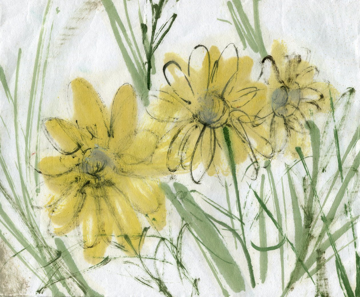 雏菊 2，2020 年（混合媒介，A4 纸） 作者 玛丽娜·法尔科