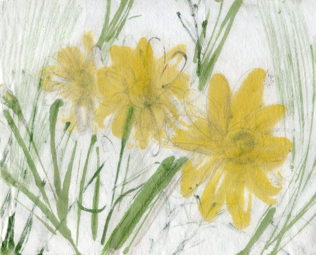 鲜花码头 作者 玛丽娜·法尔科
