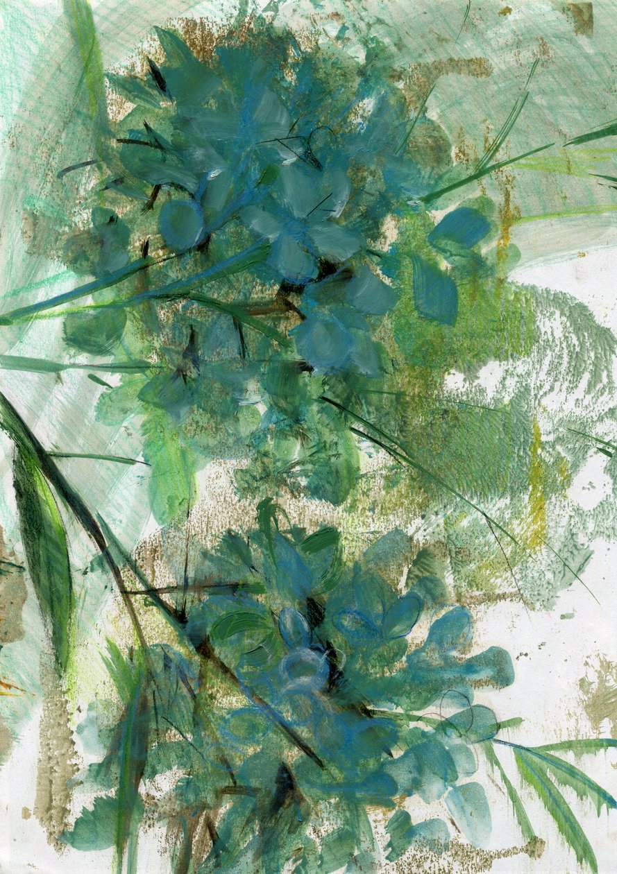 绣球花，2022 年（纸面油画） 作者 玛丽娜·法尔科