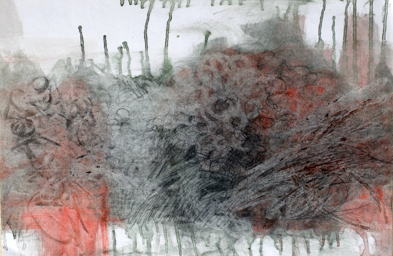 绣球花，2023 年（纸上油画） 作者 玛丽娜·法尔科