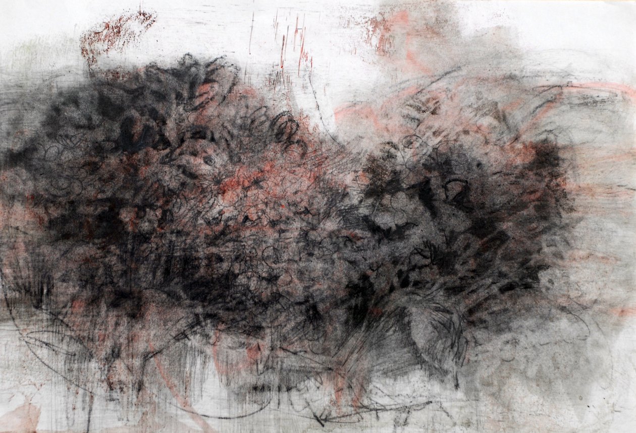绣球花，2023 年（纸上油画） 作者 玛丽娜·法尔科