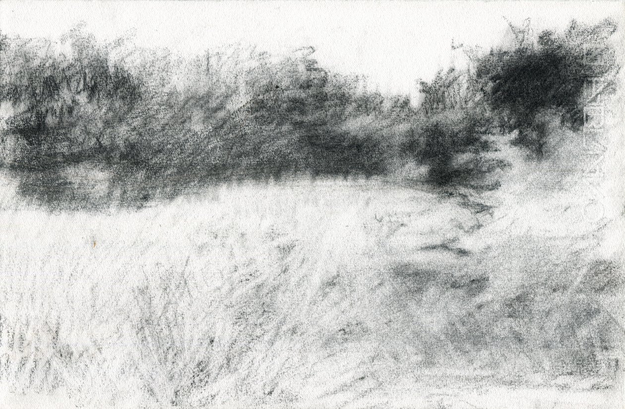 风景，2021 年（纸上炭笔） 作者 玛丽娜·法尔科